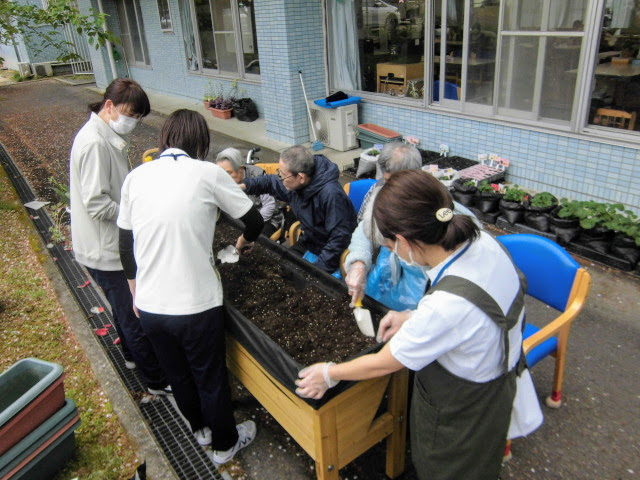 野菜の種まきを行いました✨