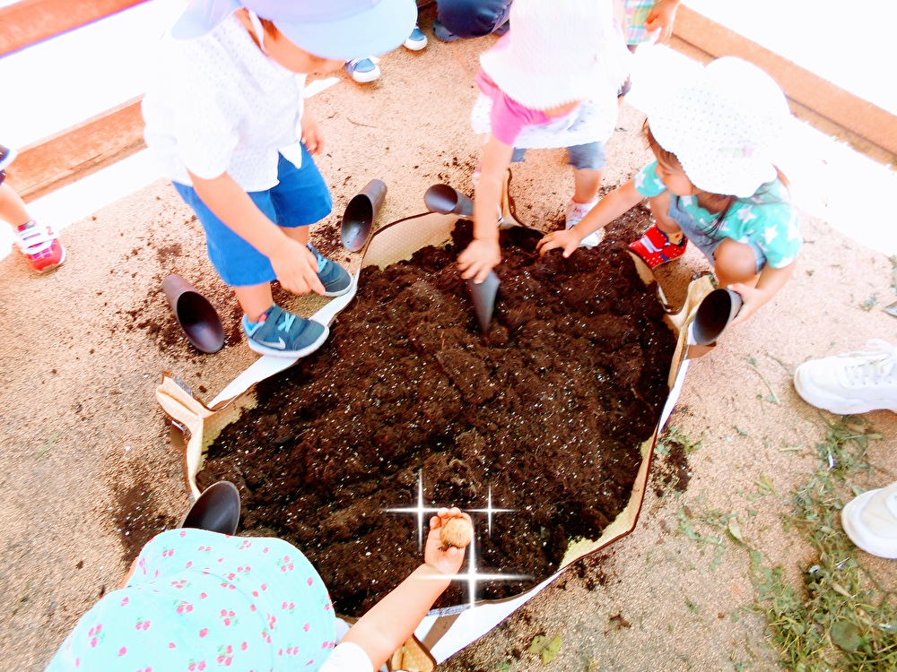 ゴロゴロポテトの収穫祭！
