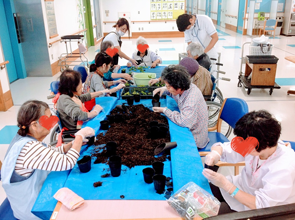 🌵ぷくぷく可愛い多肉植物🌵