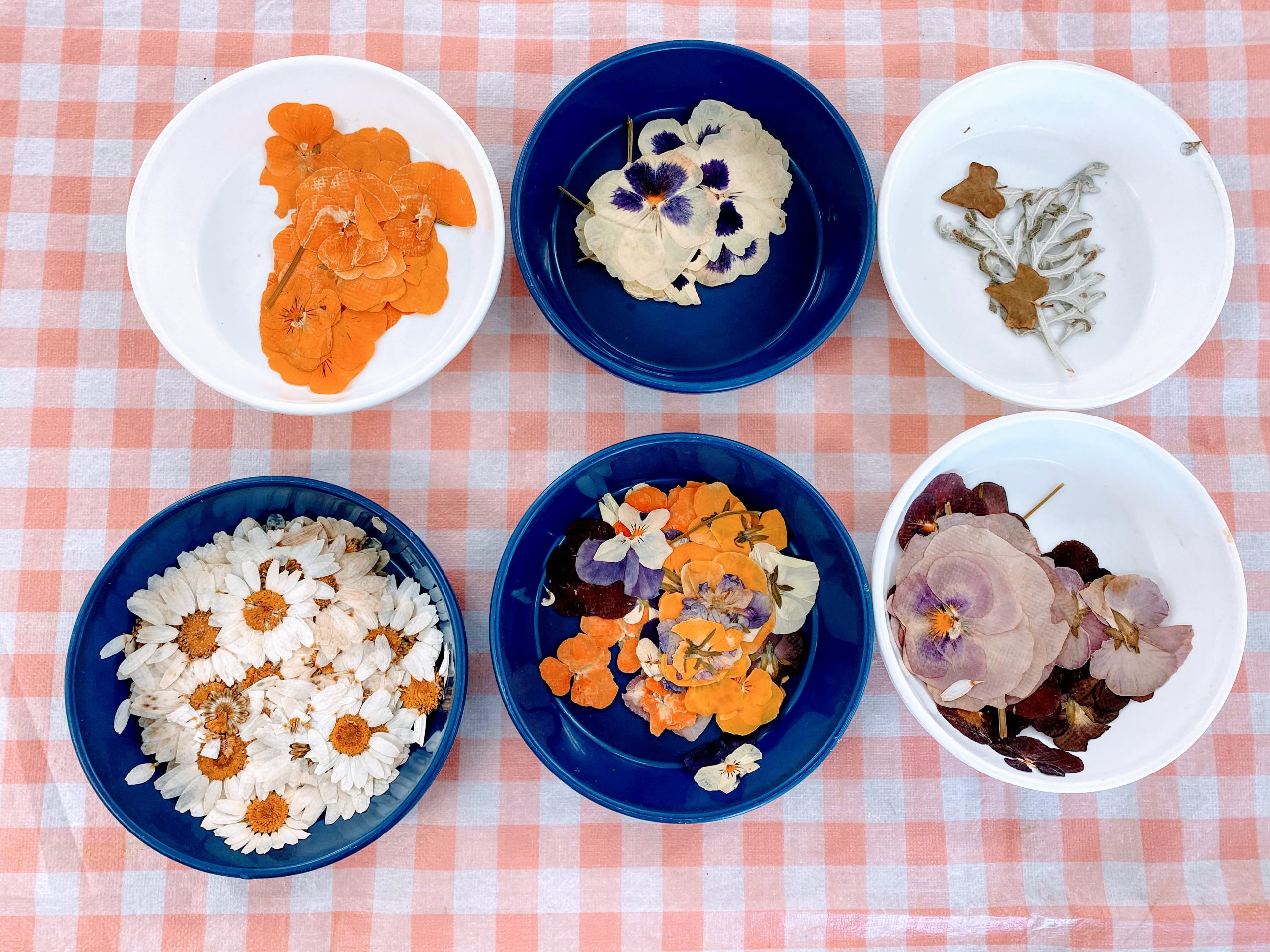 園芸療法～押し花で壁画作り～