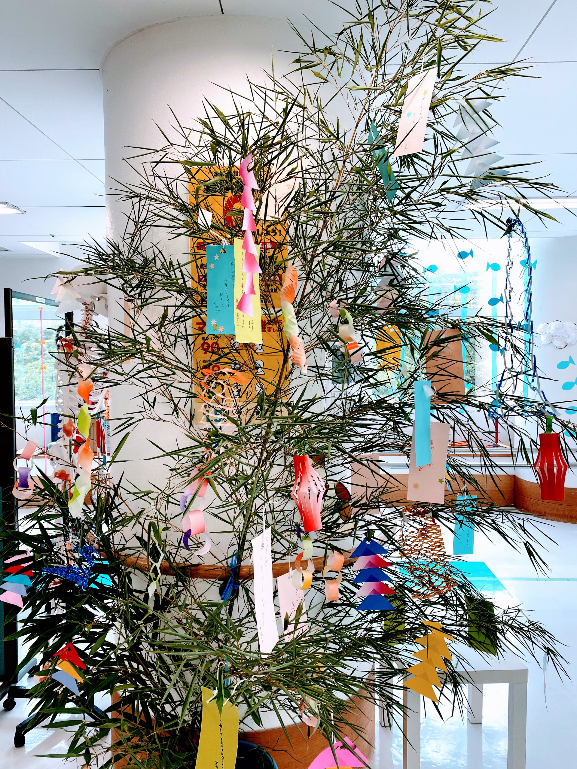 🎋今日は七夕🎋